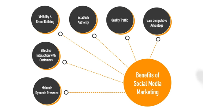 The Importance of Social Media in Digital Marketing Success